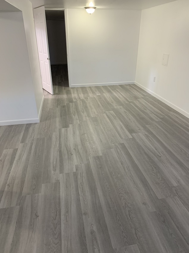 Basement Floor